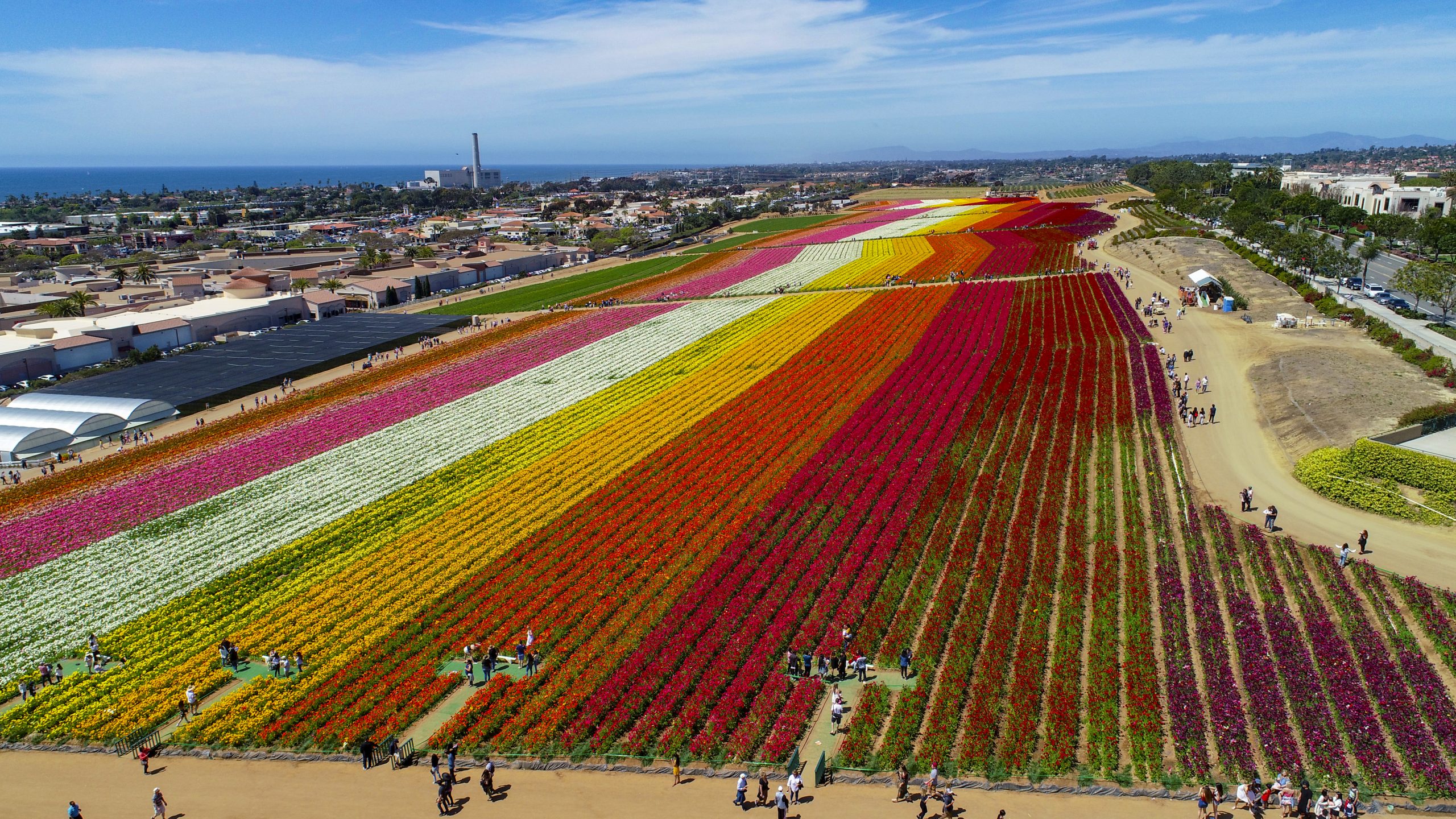 Professional drone aerial photography example showing a wide overhead landscape view